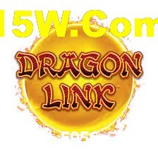 Premium Interface 5956