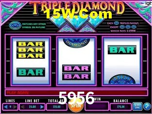 5956 Salvador - Support